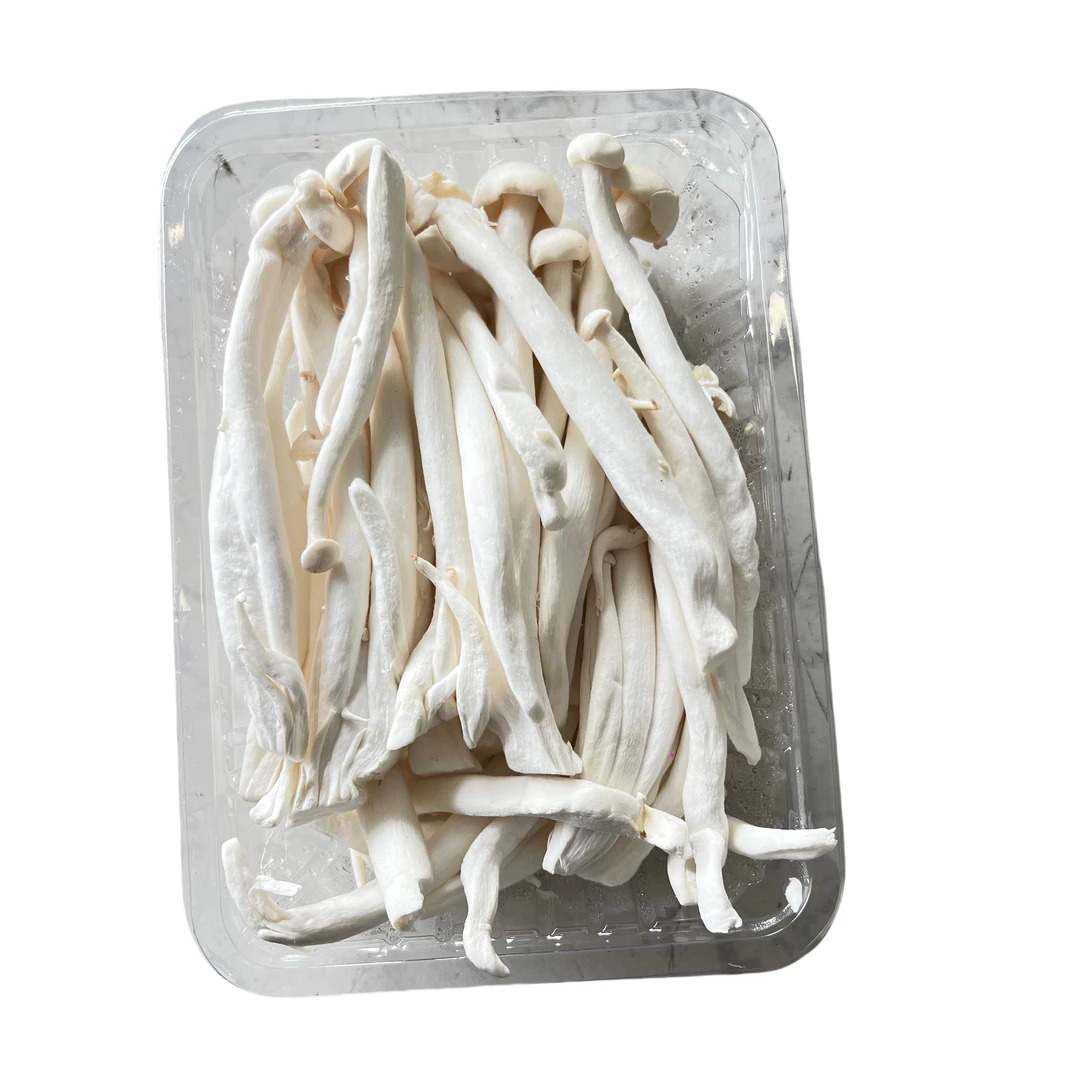 白玉菇一盒约300g