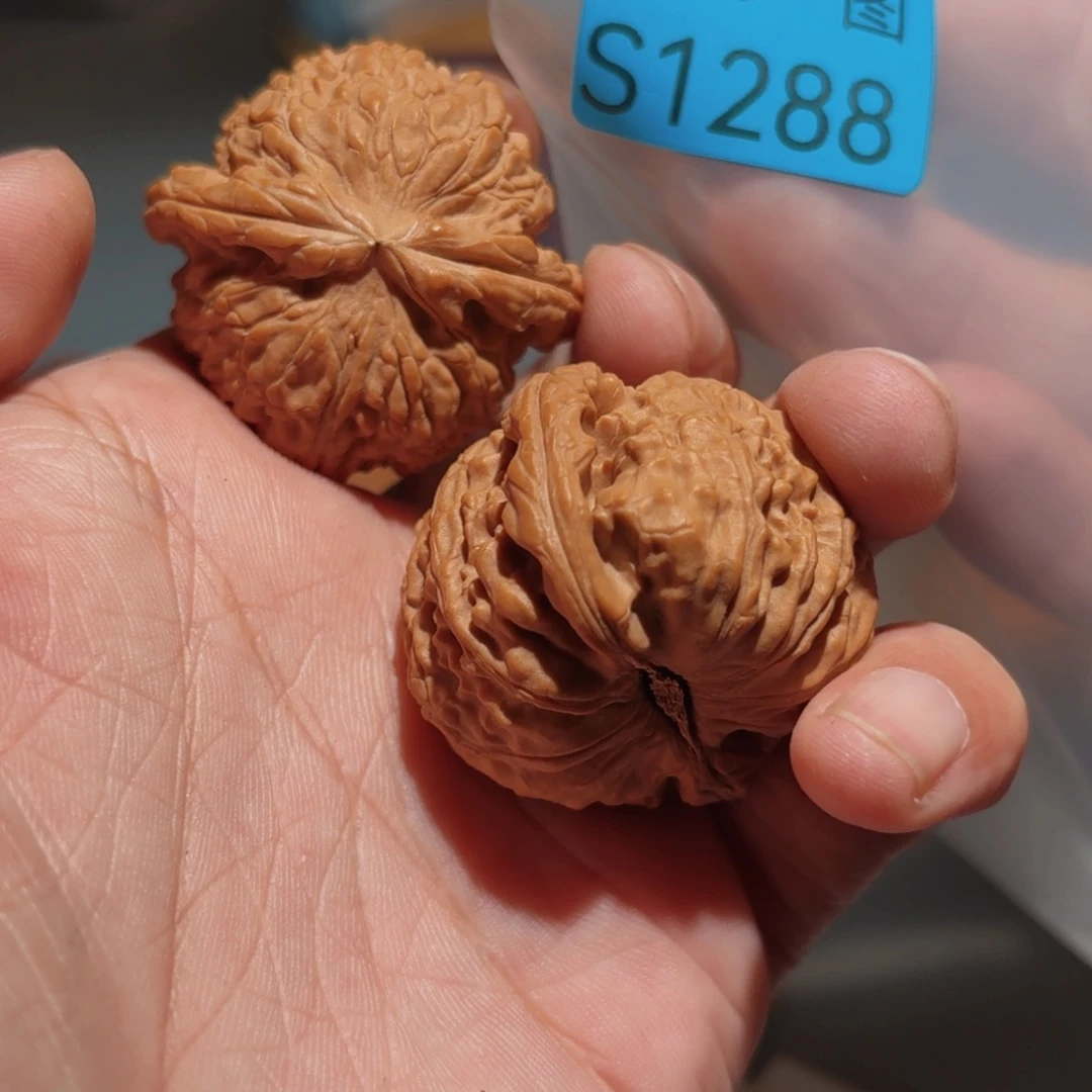 把件文玩核桃白狮子