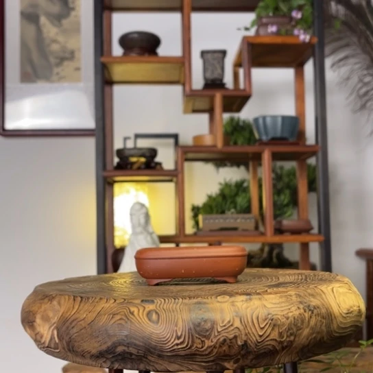 紫砂花盆感*紫砂花盆