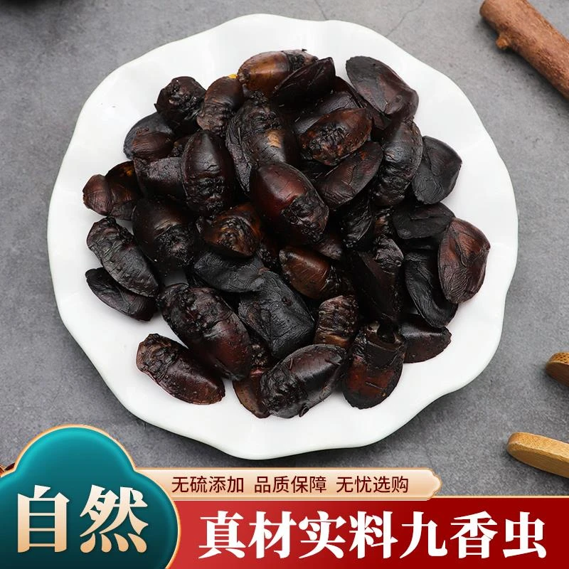 九香虫原产地野生九香虫正品新货打屁虫屁巴虫臭壳子虫无硫包邮
