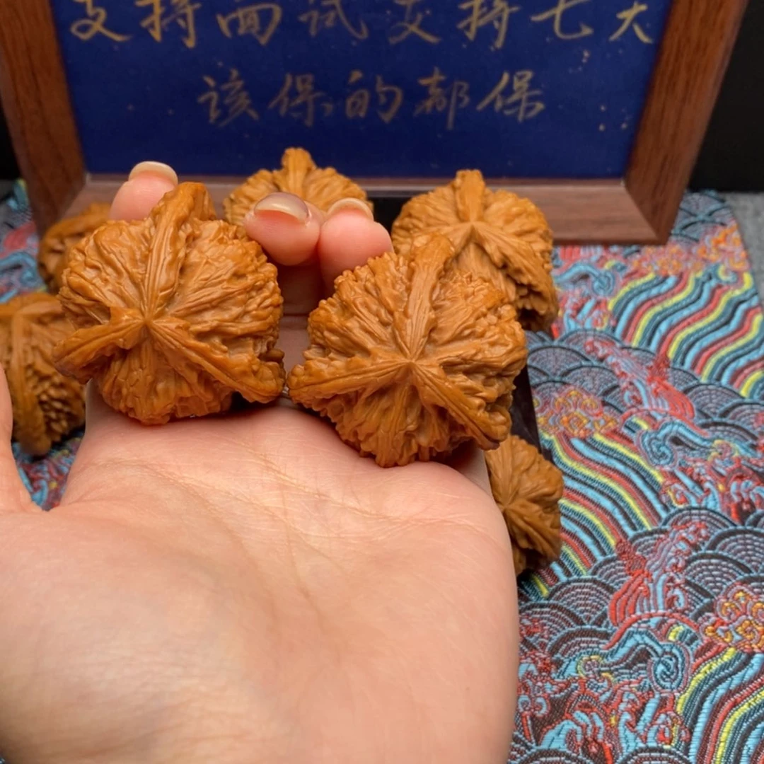 【闪购商品】飘***久白狮