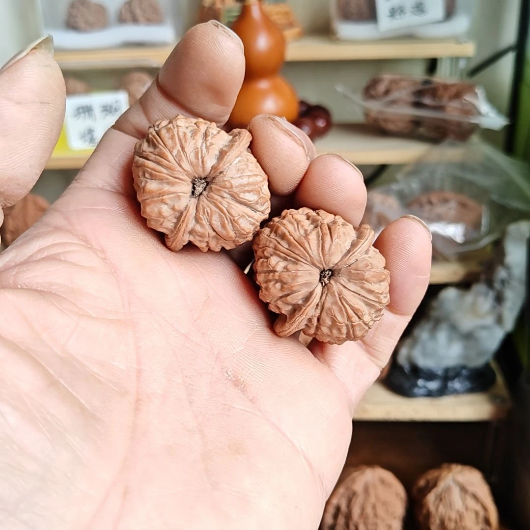 35加尺寸，野生无名小众