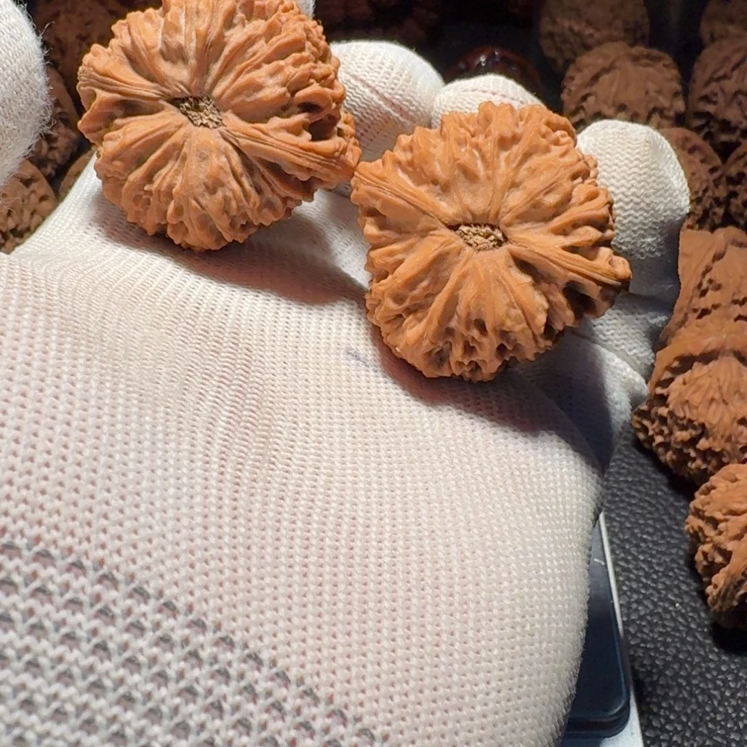 哎***！吊坠文玩核桃有修有黄有色差