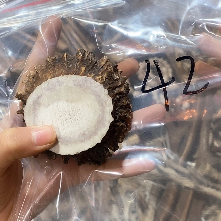 一***?鹿角鹿角鹿角鹿角鹿角