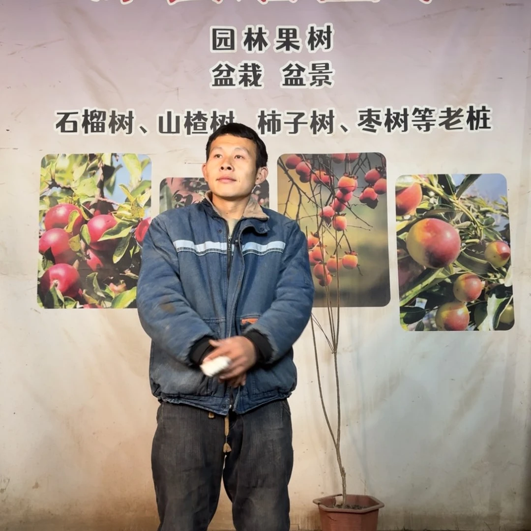 【闪购商品】图图图咯哦哦哦哦哦唐****）