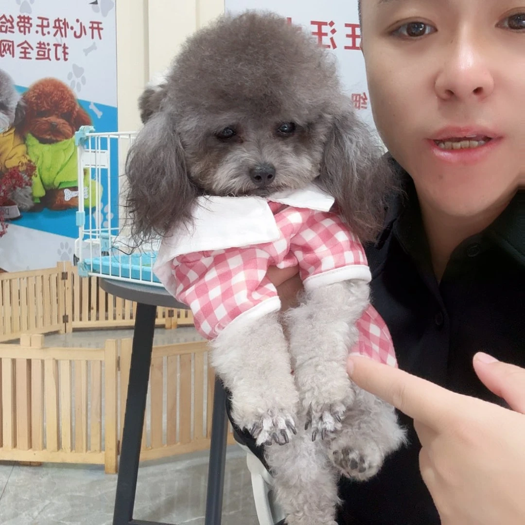 斤斤计较斤斤计较