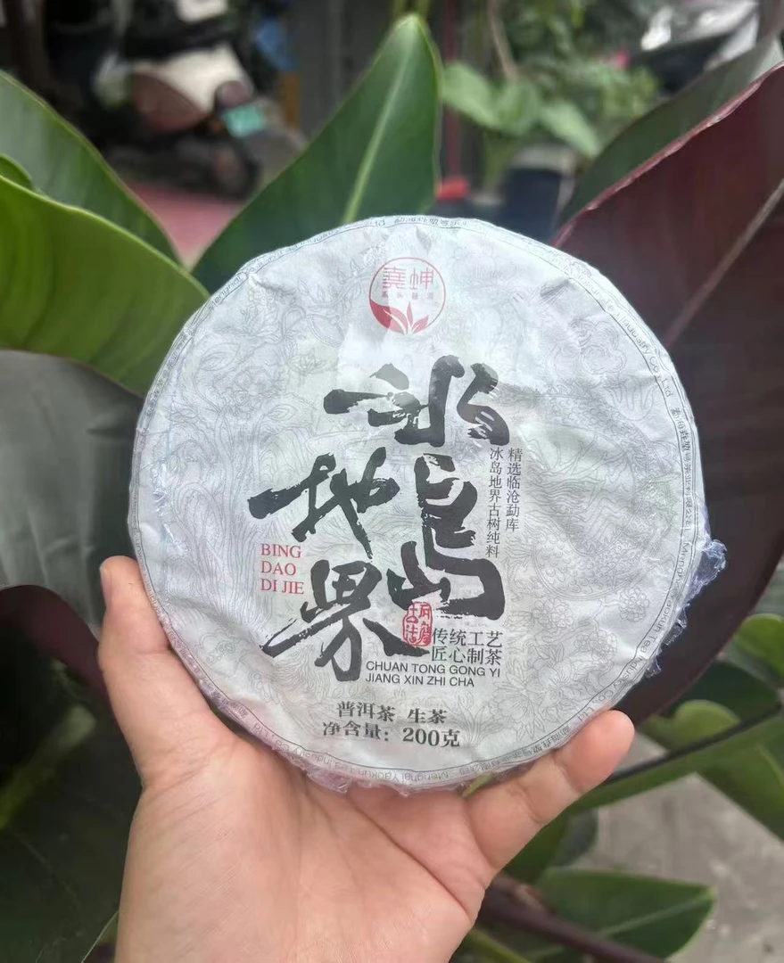 2024年地界古树生茶头春 汤感厚重有劲 200克