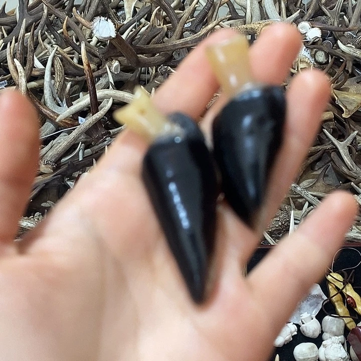 无非金属鹿蹄鹿蹄