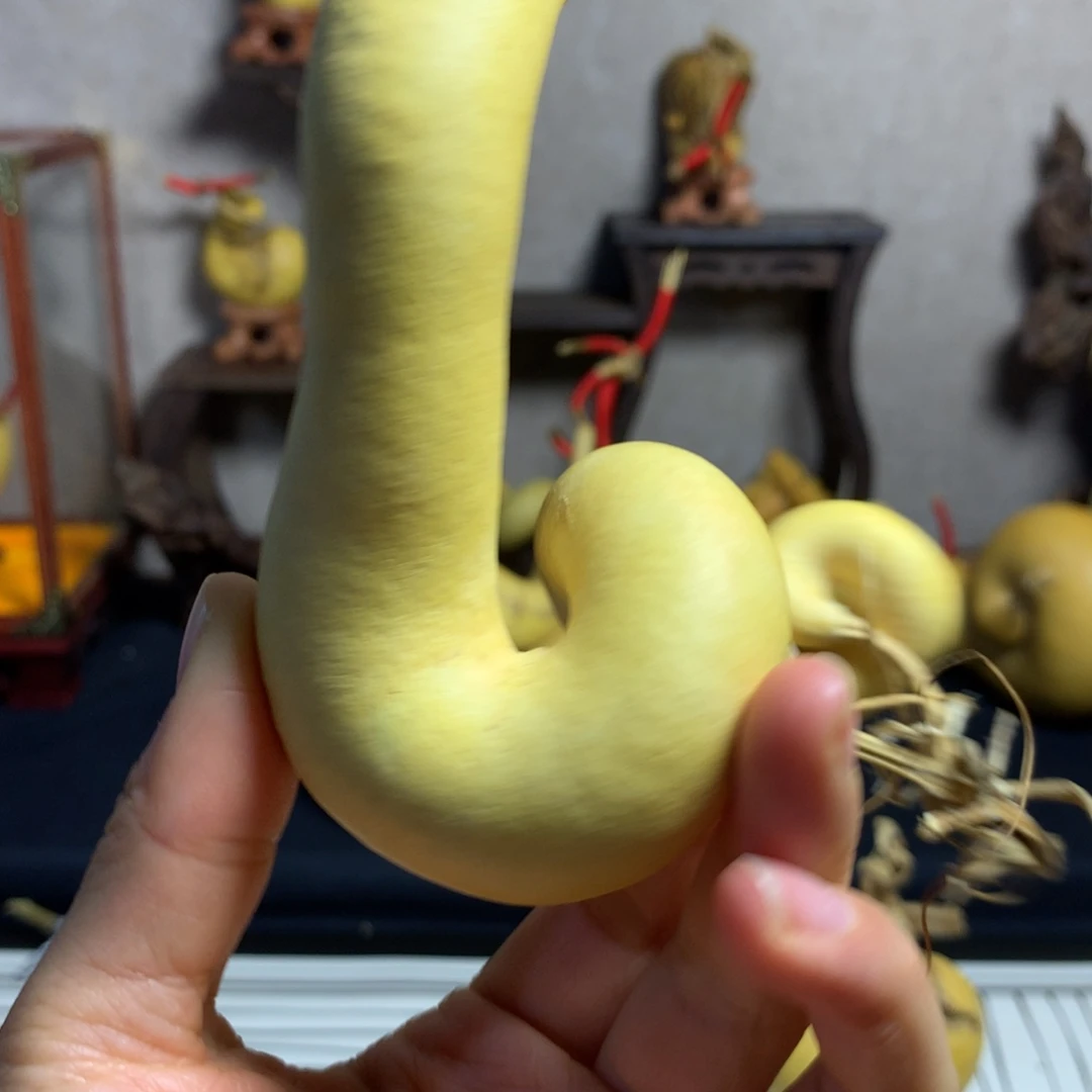 葫芦葫芦真的好可爱啊