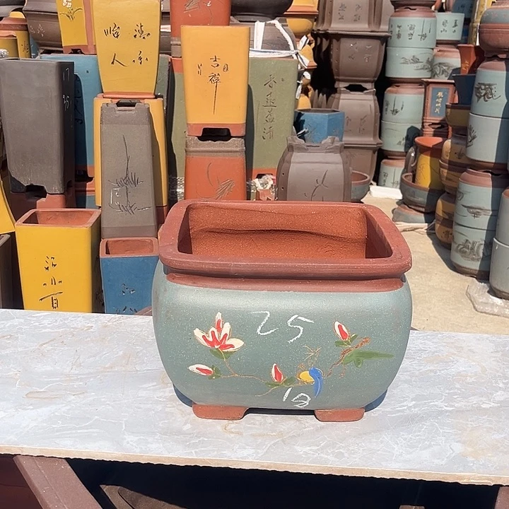 紫砂紫砂花盆盆栽