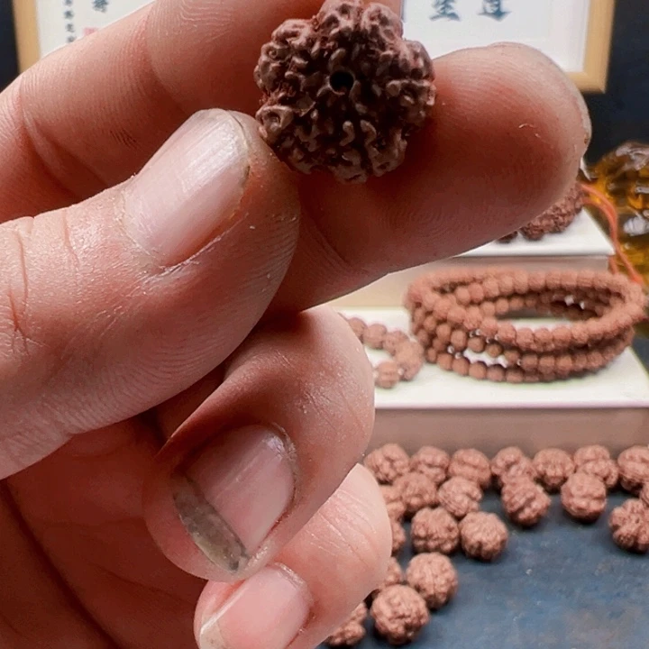 金刚菩提吊坠原生态霸王花17尺寸