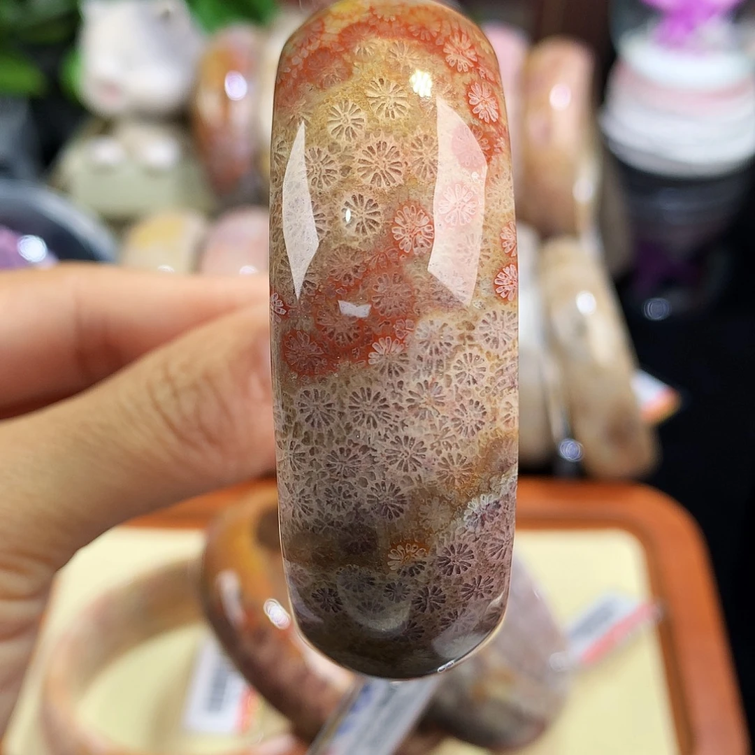 硅化珊瑚（珊瑚玉）未镶嵌吊坠(赠链)58号55圈口