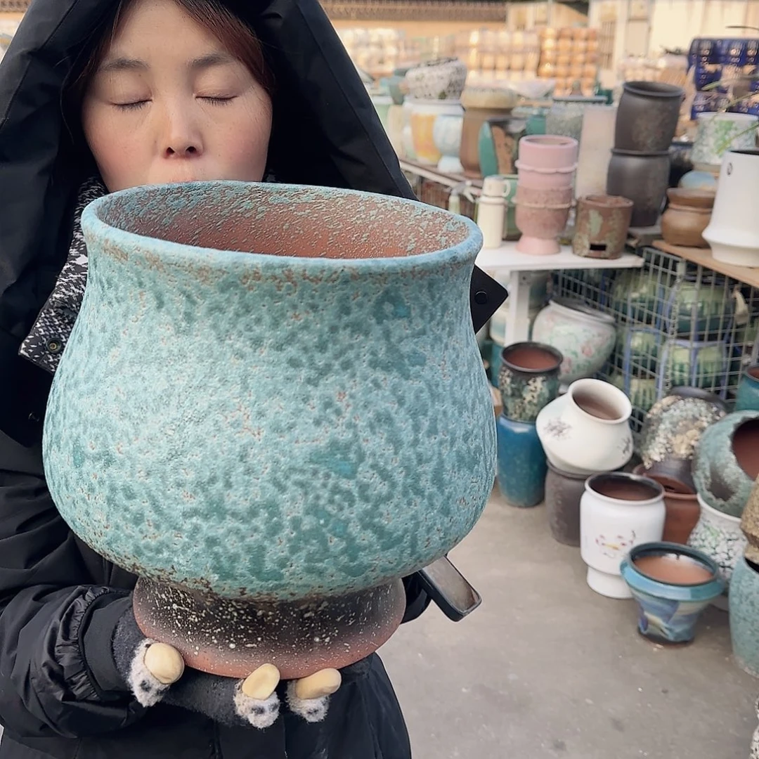 王嫂花盆1225-142高25口22