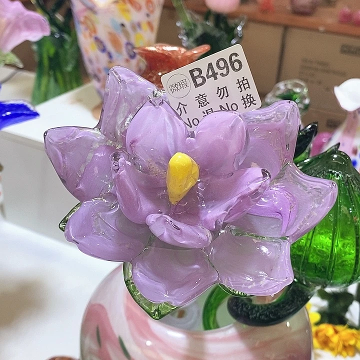 夜光花高45厘米宽12厘米