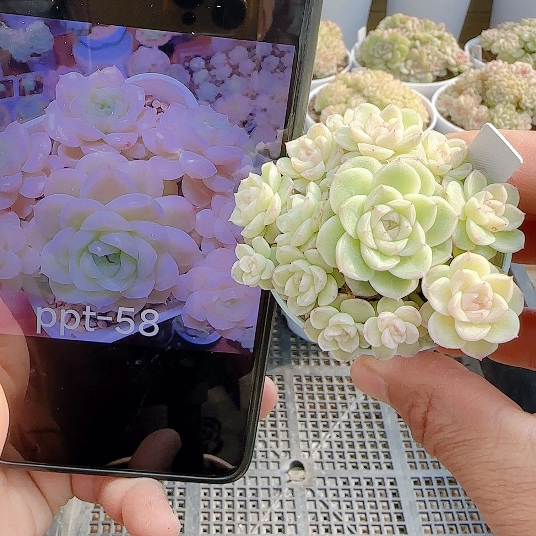 1127-78（ppt-58）优选