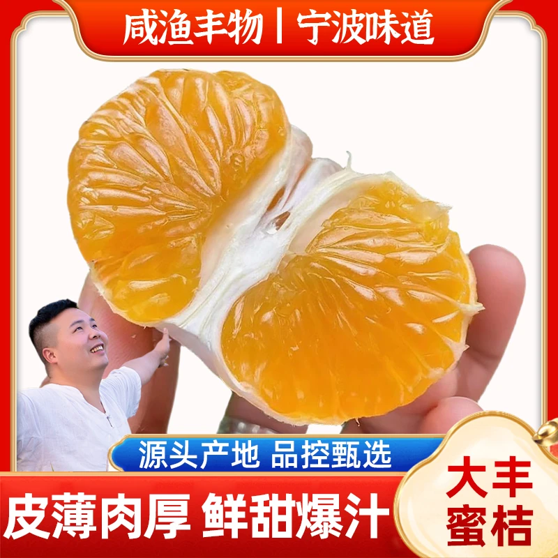【海岛大丰桔子】新鲜橘子青皮蜜桔皮薄多汁酸甜爽口现摘现发无籽
