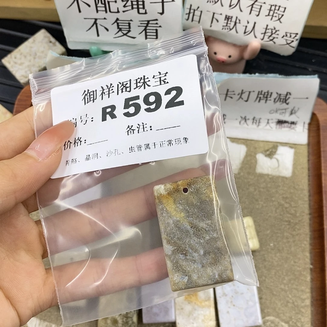 硅化珊瑚（珊瑚玉）未镶嵌颈饰益***?