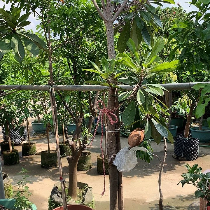 刷***了89934456678888864335777