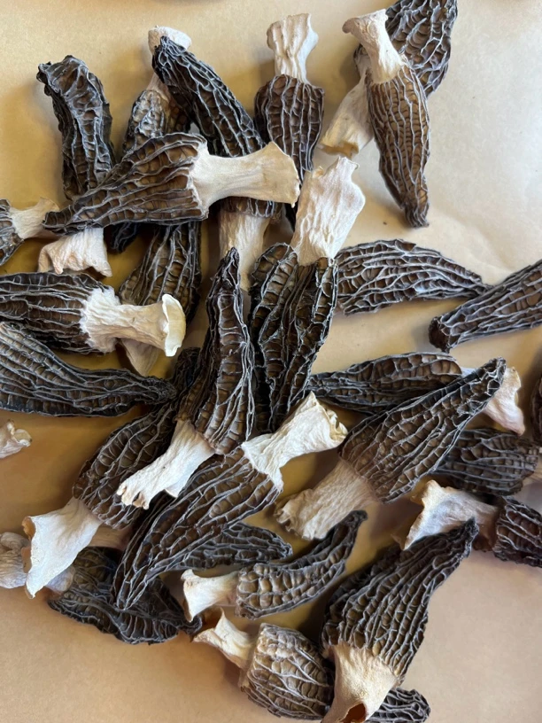 四川头茬六妹羊肚菌新干货肉厚味香非野生特级非剪脚3-5cm
