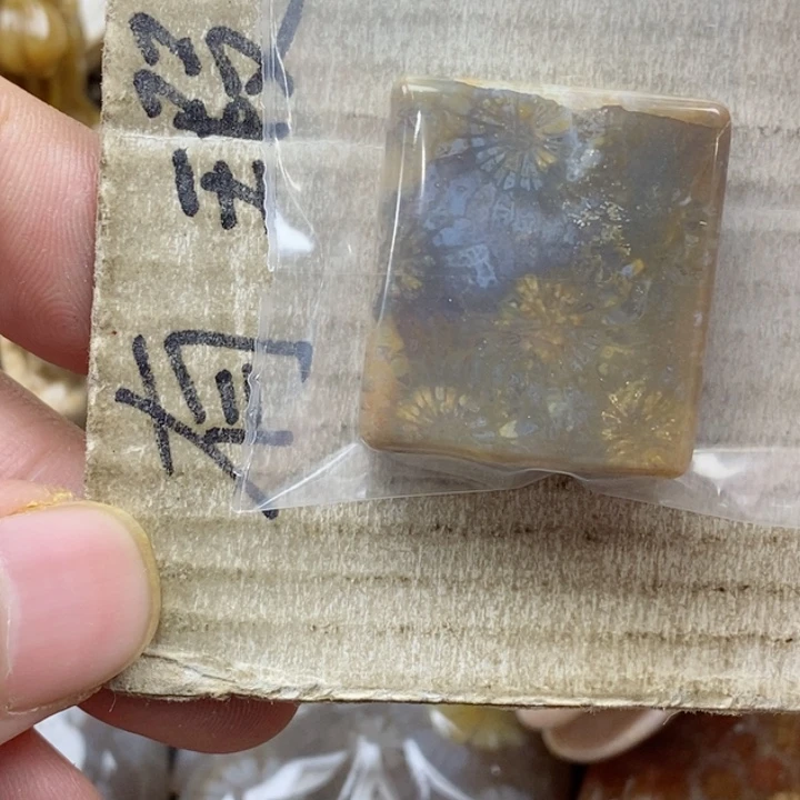 颈饰未镶嵌硅化珊瑚（珊瑚玉）独**?小