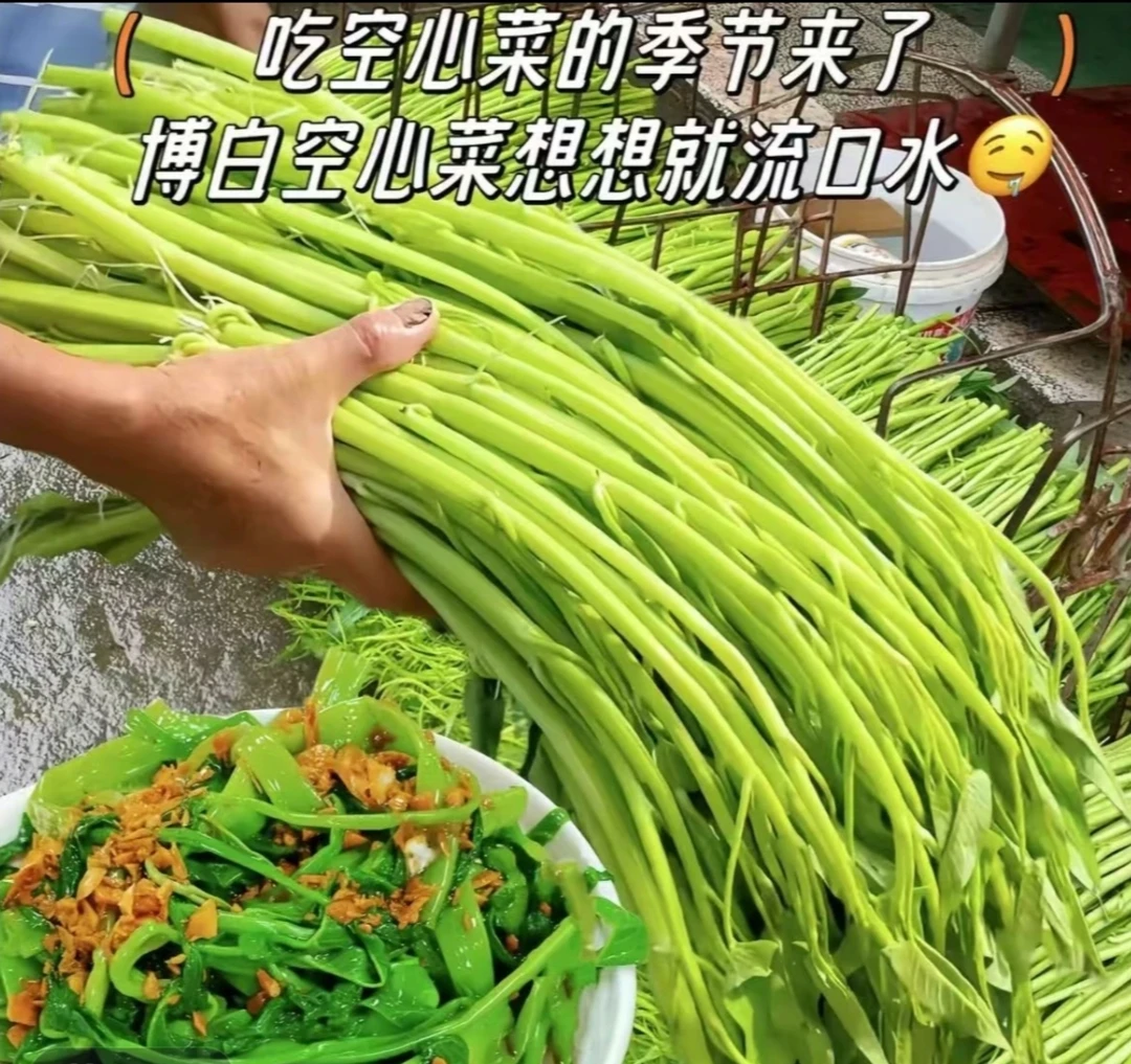 正宗广西博白水标空心菜产地现摘现发清脆爽口新鲜