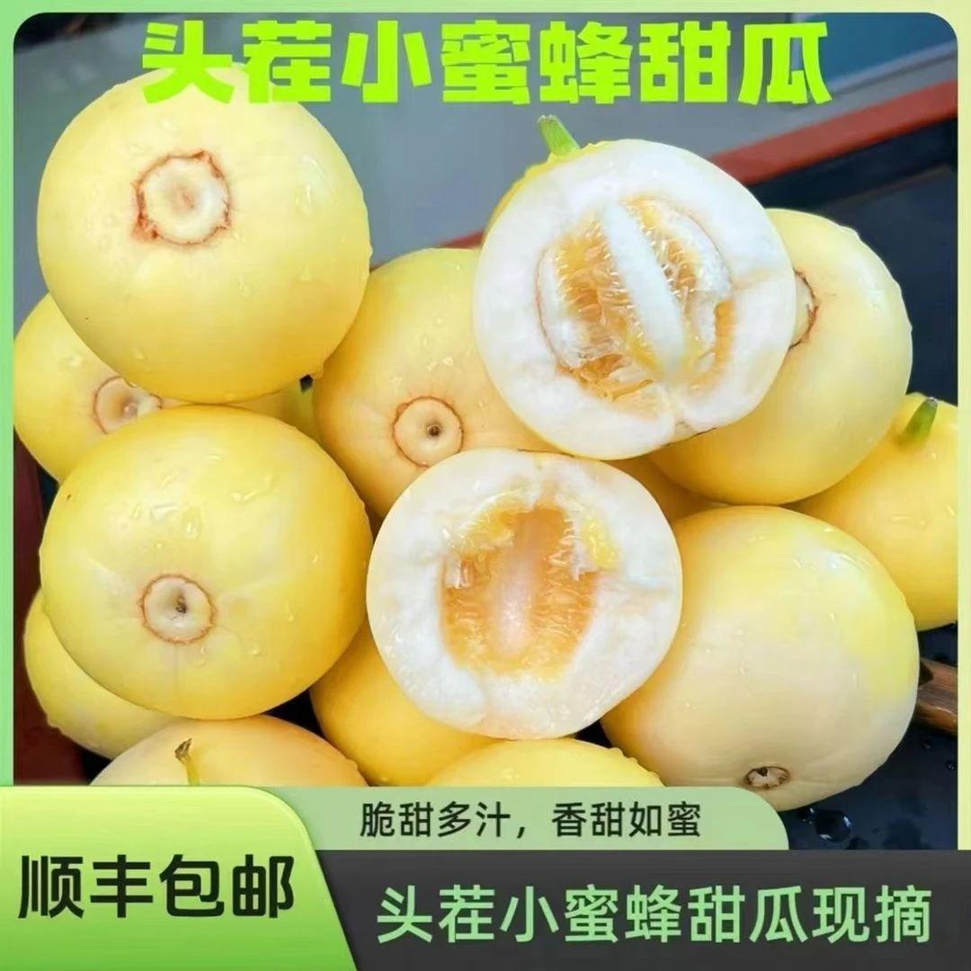 【顺丰包邮】头茬现摘正宗新鲜星甜蜜罐当季甜瓜水果香瓜带箱5斤