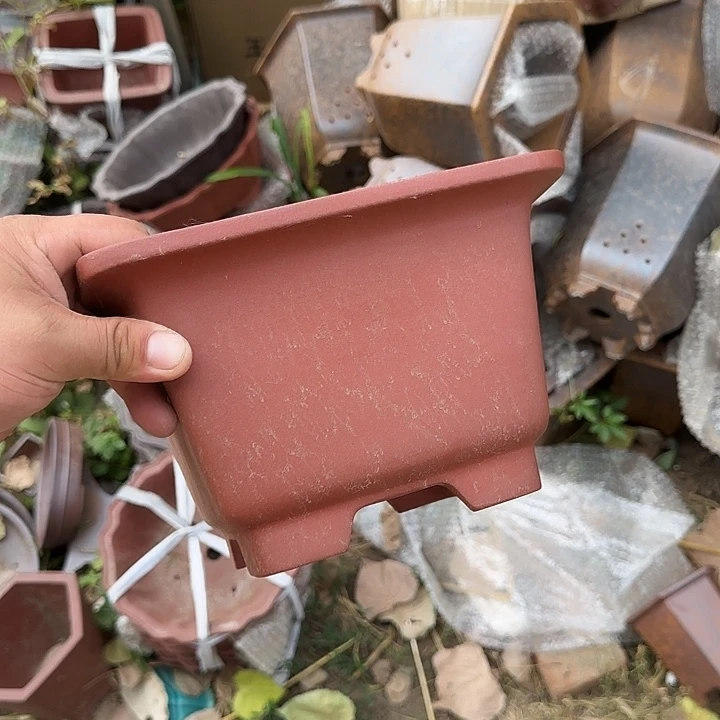 这几位朋友在做一年