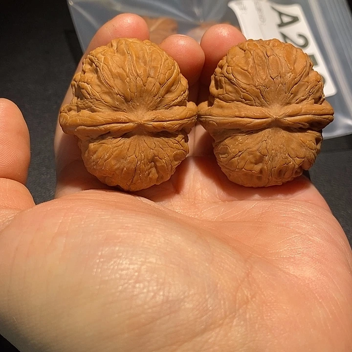 41 元宝。。。。。。。。。