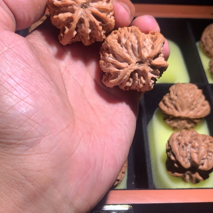 手串/手链核桃008