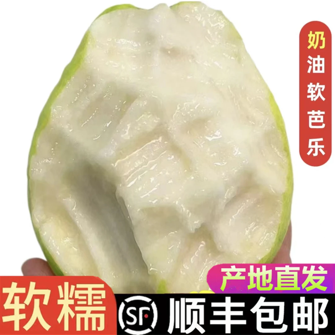 陶湘艺奶油冰淇淋芭乐白心番石榴新鲜广东软心当季水果3斤5斤优选