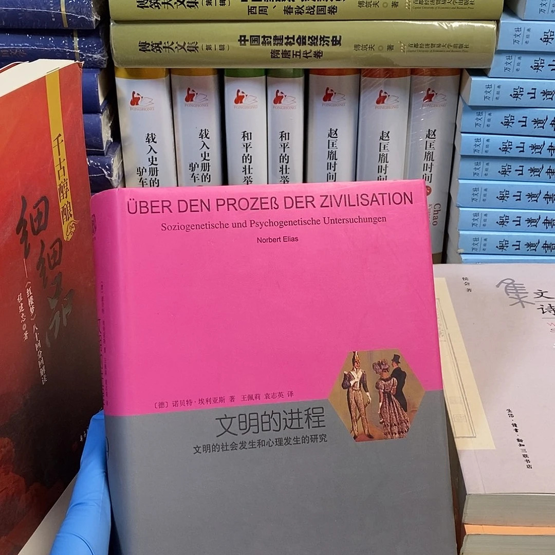 文明的进程  ……