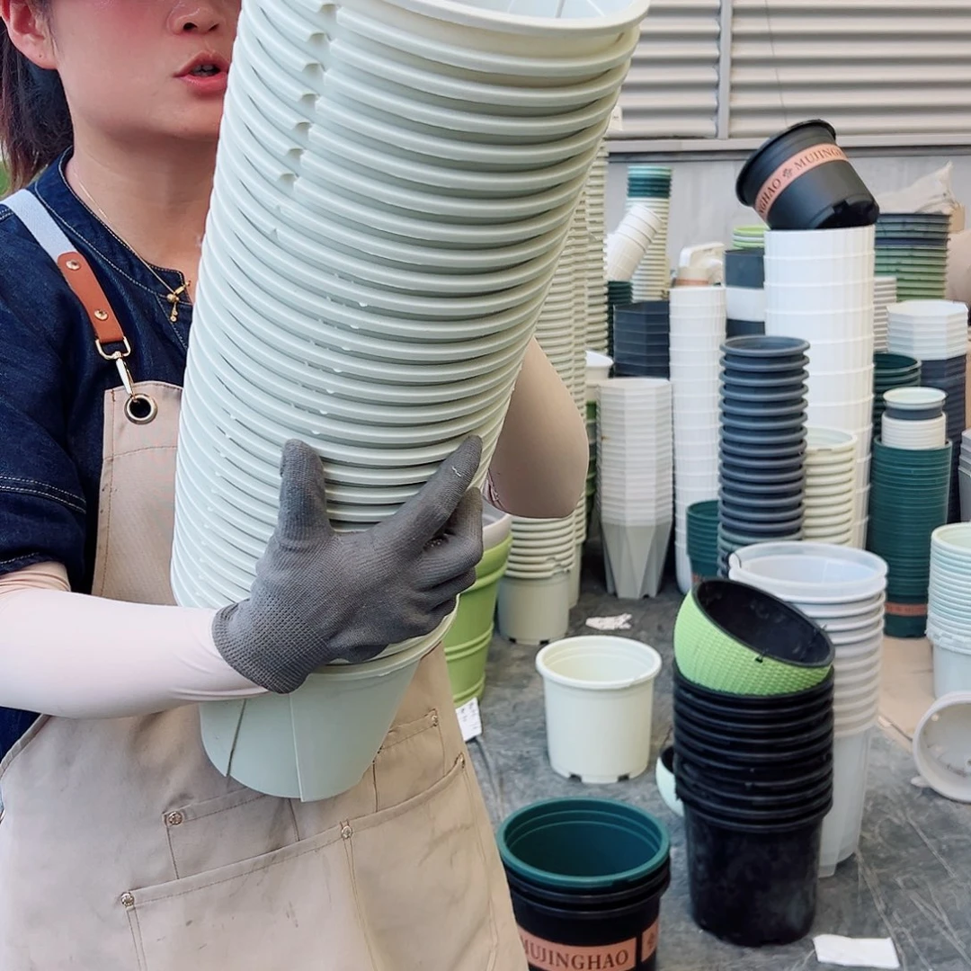 瑕疵青山盆3#米白色10个无托