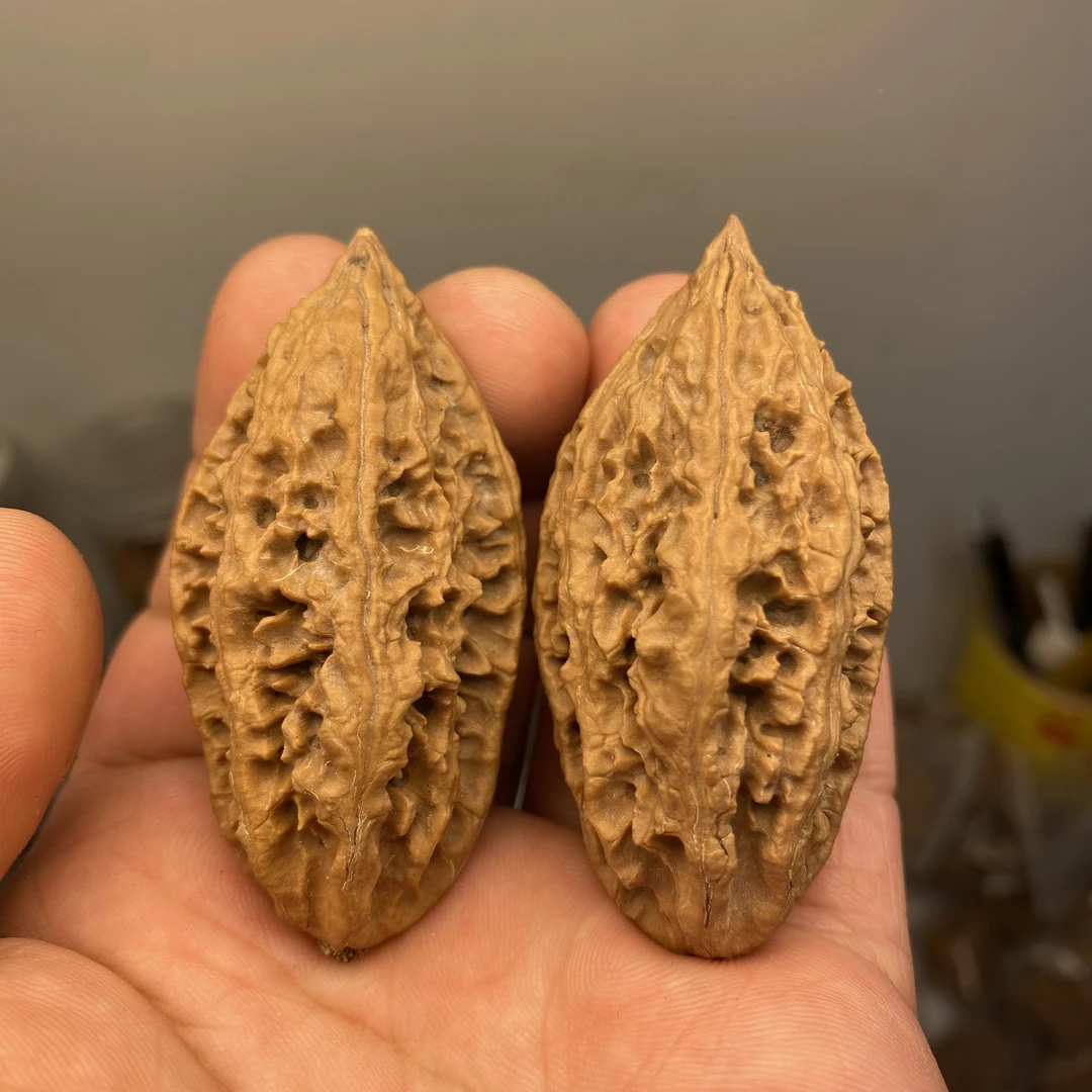 判官笔东北野生秋子核桃细长纹路粗中有细柳叶秋子