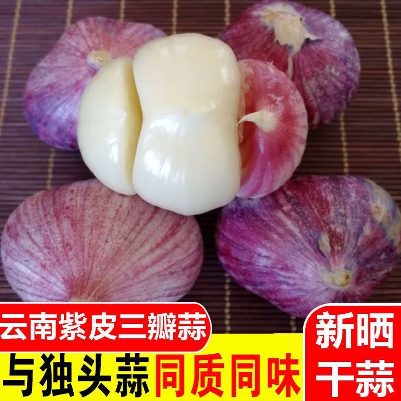 今年新鲜紫皮干三丫蒜元宝大蒜香辣饱满可做腊八蒜调味蔬菜