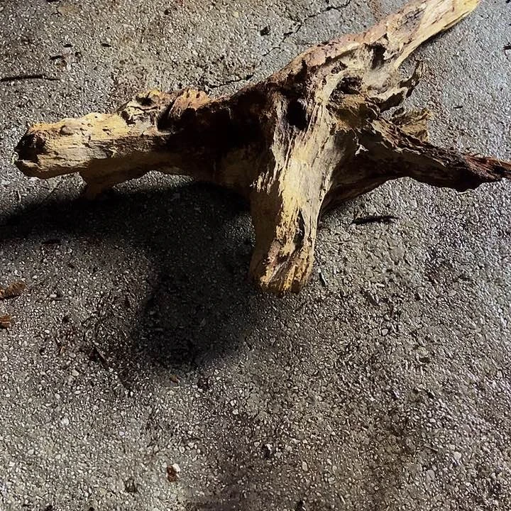 楠木（金丝楠）其他?****?