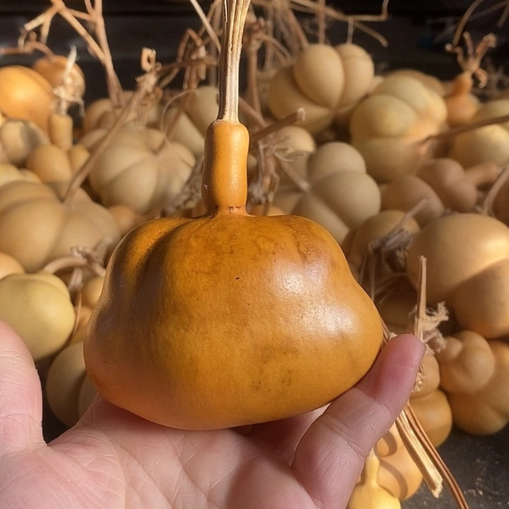 葫芦的颜色花皮很好看