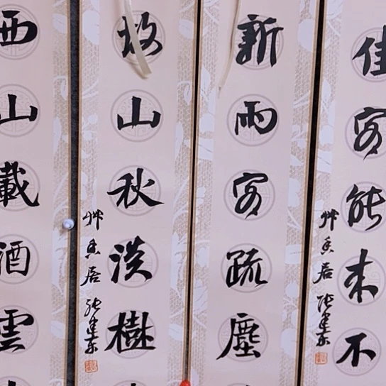 书法张建东老师书法作品