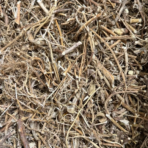 五指毛桃 煲汤材料 新鲜干货