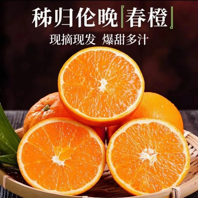 【喜子哥专属】正宗湖北秭归伦晚脐橙净重5/9斤新鲜现采香甜多汁