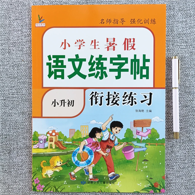 暑假练字帖小升初暑假衔接预复习练习册人教版语文同步生字练字帖
