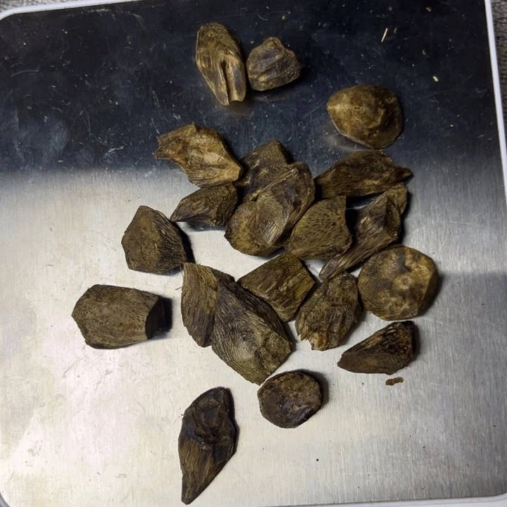 沉香沉香碎屑沉香树丁规整料子