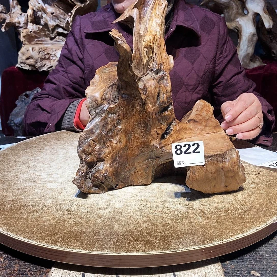 清***心822。株木随行根艺