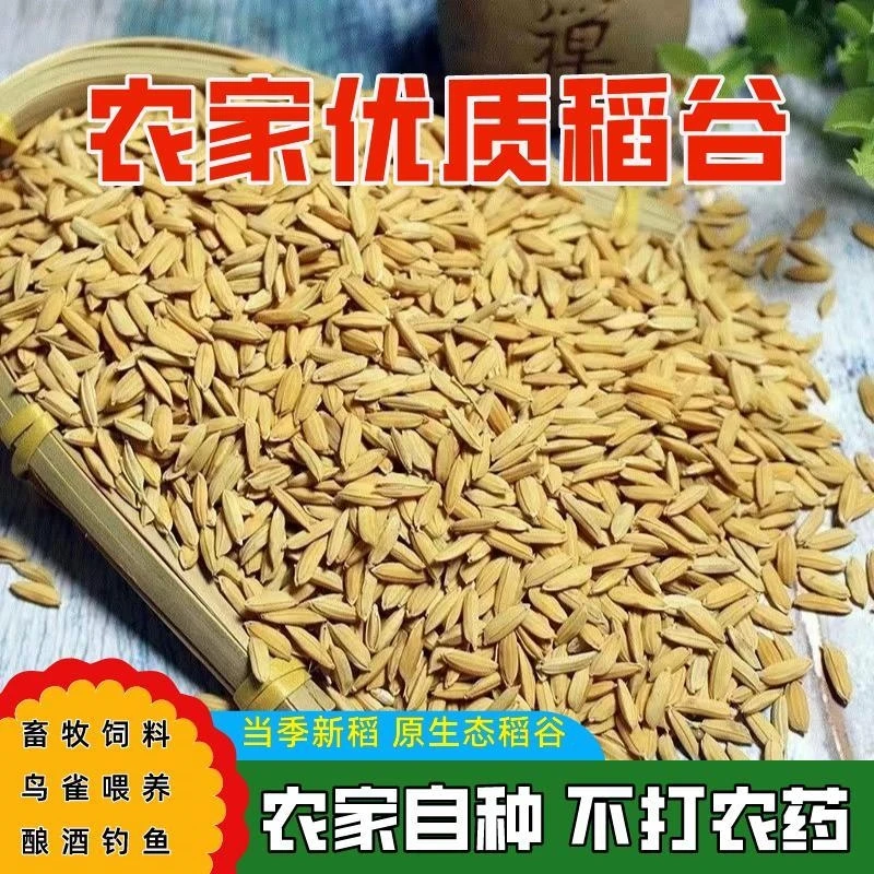 农家优质稻谷鸡鸭鹅鸽鸟饲料鸟雀喂养农家自种当季健康营养