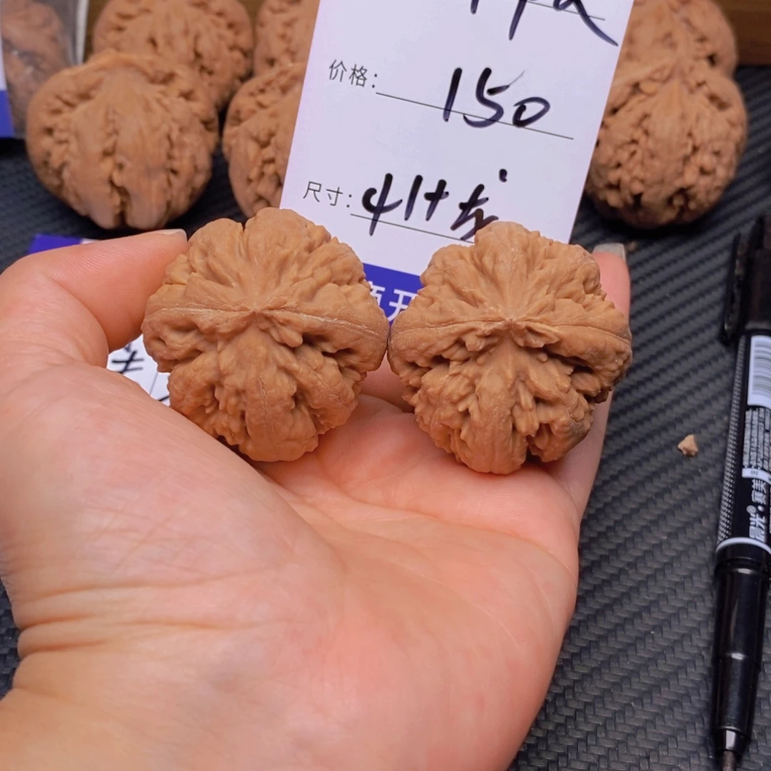 斯***特文玩核桃霸王龙核桃