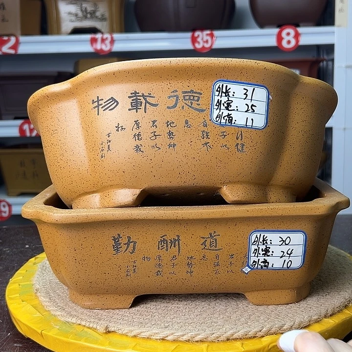 花盆紫砂蛇年大吉