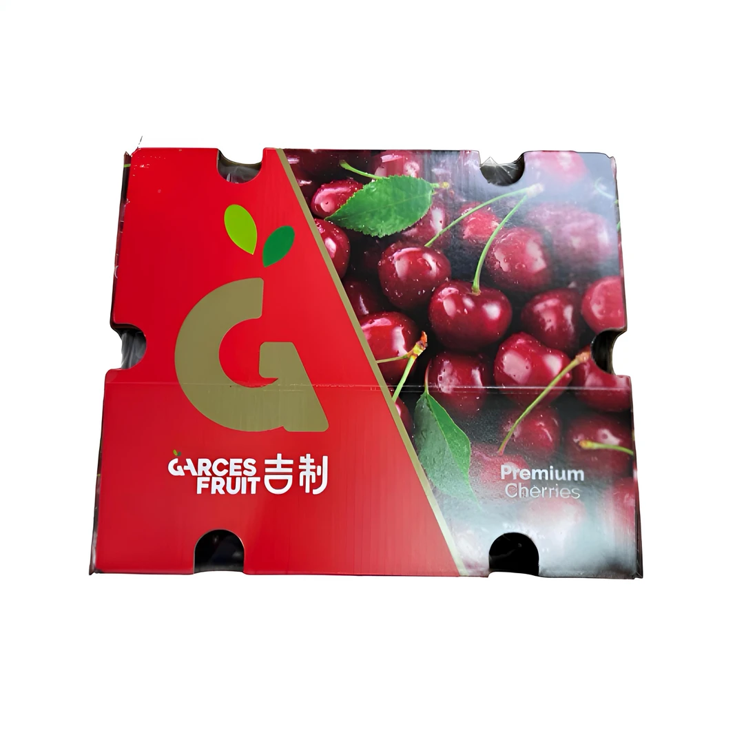 吉制1J2J3J拉宾斯 智利 海运车厘子5斤净重新鲜车厘子 内附果径卡