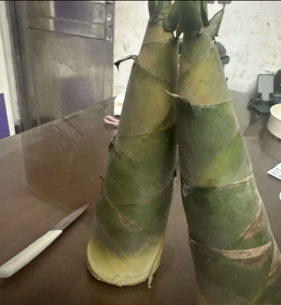 广西贺州新鲜野生麻竹笋带壳嫩笋