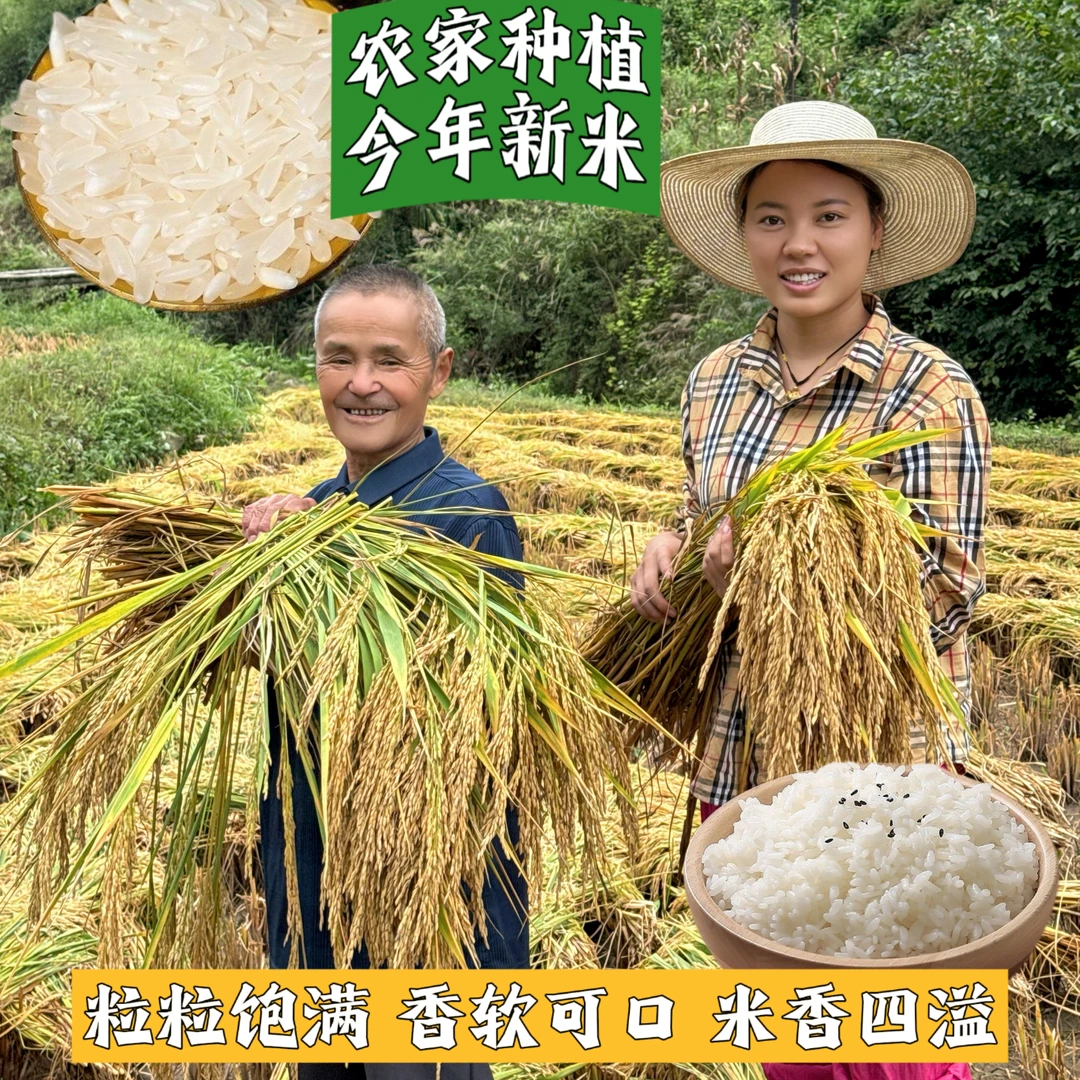 四川高山农家米今年新米不抛光不打蜡老人小孩5kg支持试吃