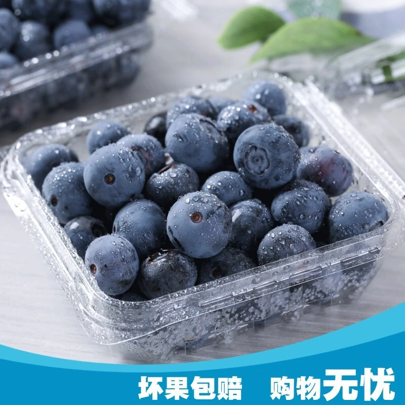 【蓝莓之乡】尝鲜怀宁蓝莓4盒1斤～中小果径12mm-15mm脆爽清甜微酸