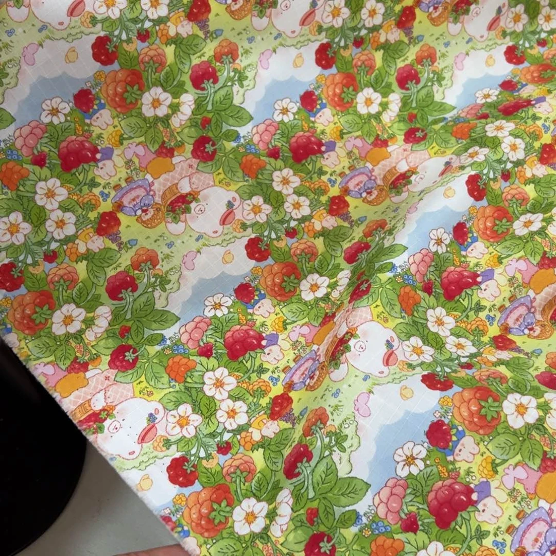 棉一米价纯棉提花格子细帆布15宽果子B